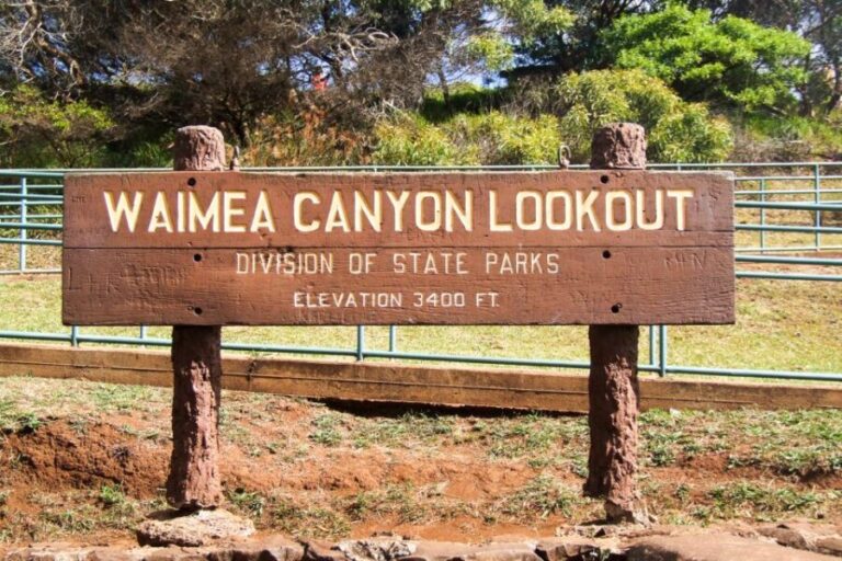 Kauai: Full-Day Waimea Canyon & Wailua River Tour - What the Reviews Say