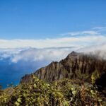 Kauai Highlights Full Day Tour with Waikiki Pickup - What’s Included and What’s Not