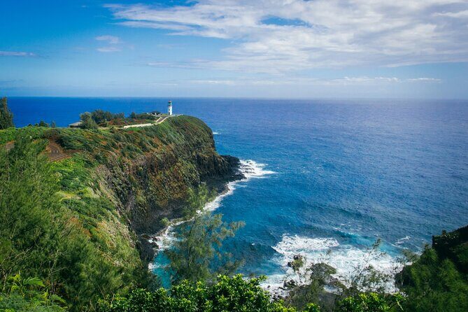 Kauai Island Private Guided Tour-Waimea Canyon from Princeville - What Sets This Tour Apart? Authentic Insights and Comfort
