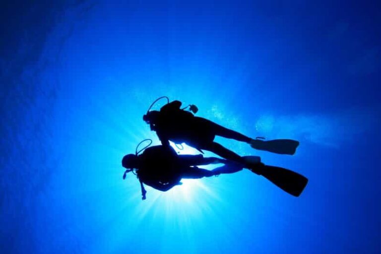 Kauai: Morning 2 Tank Boat Dive for Experienced Divers - What to Expect During the Dive Tour