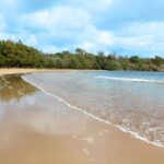 Kauai: Movie Locations Tour - What the Tour Entails