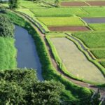 Kauai Northeast Tour, Fern Grotto River Cruise & Lighthouse - What Makes This Tour Stand Out?