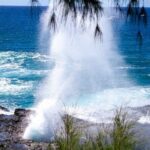 Kauai Private Shuttles - An Honest Look at the Kauai Private Shuttle Experience