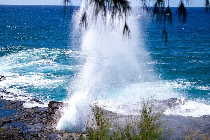 Kauai Private Shuttles - An Honest Look at the Kauai Private Shuttle Experience