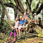 Kauai: Waimea Canyon & Kokee State Park Private Tour - Who Will Love This Tour?