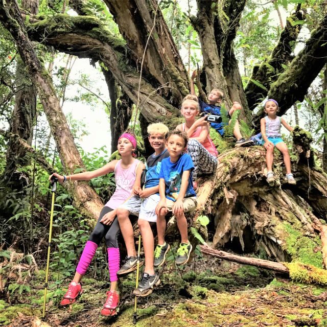 Kauai: Waimea Canyon & Kokee State Park Private Tour - Who Will Love This Tour?