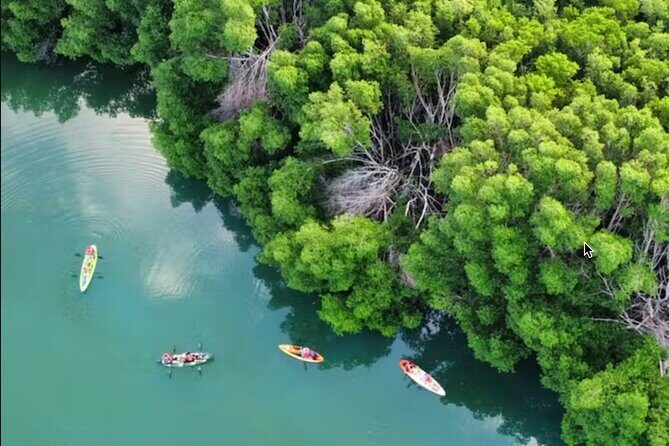 Kayak Activity in Nichupte Lagoon opt. Roundtrip transportation - The Practicalities: Equipment, Transportation, and Comfort