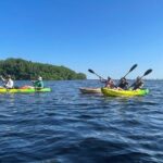 Kayak Adventure at Shell Key Preserve in Tierra Verde - The Highlights of the Tour
