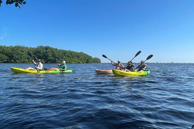 Kayak Adventure at Shell Key Preserve in Tierra Verde - The Highlights of the Tour