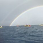 Kayak and Snorkel West Maui at Olowalu - The Snorkeling Portion: What You Can Expect