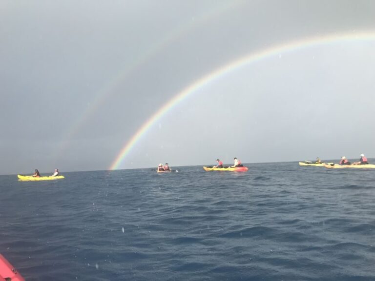 Kayak and Snorkel West Maui at Olowalu - The Snorkeling Portion: What You Can Expect