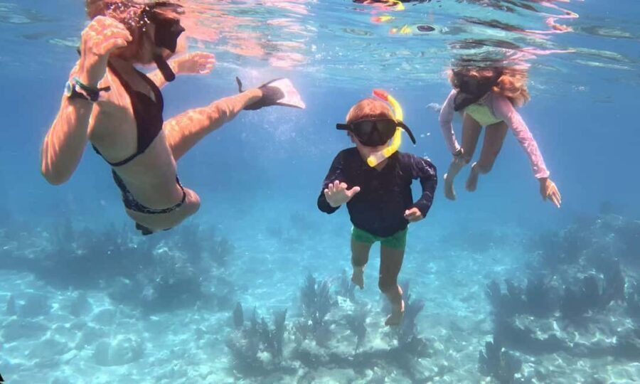 Kayak + Guided Snorkel & Morning Sail - FAQs about the Kayak + Guided Snorkel & Morning Sail Tour