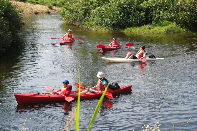 Kayak/Paddleboard Rouge River - Self Guided Descent - Who Would Enjoy This Tour?