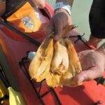 Kayak Sian Kaan Biosphere Reserve Sunset Tour - Who Should Consider This Tour?