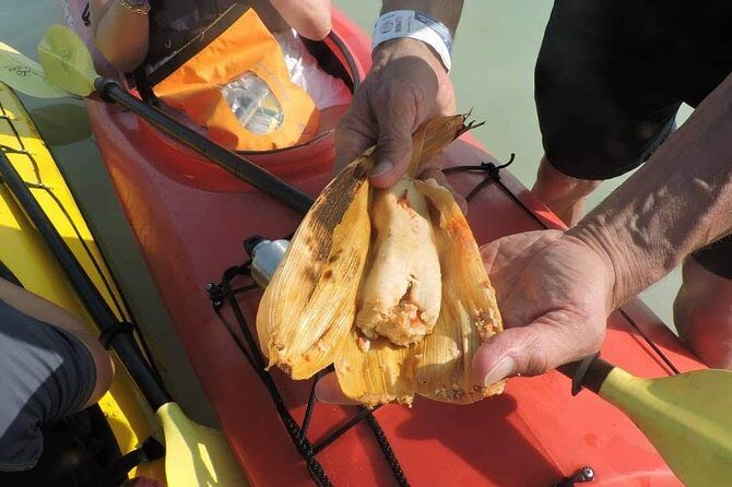 Kayak Sian Kaan Biosphere Reserve Sunset Tour - Who Should Consider This Tour?