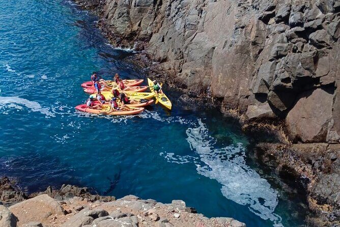 Kayak The Jacket and Flea market Private Tour - The Itinerary Breakdown