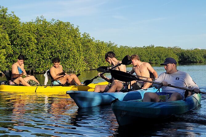 Kayak through Mangrove Forests in the Florida Keys - Who This Tour Is Best For