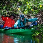 Kayak Tour at Gandy Beach Mangroves with Capt Yak with Capt Yak - What We Appreciate About This Experience