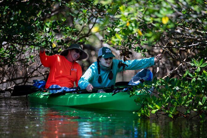 Kayak Tour at Gandy Beach Mangroves with Capt Yak with Capt Yak - What We Appreciate About This Experience