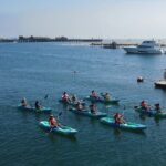 Kayak Tour of Santa Barbara with Experienced Guide - The Experience in Detail