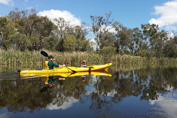 Kayak Tour on the Canning River - Who Will Appreciate This Tour?