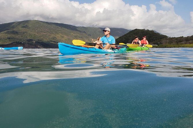 Kayak Turtle Tour from Palm Cove - The Experience: Practical Aspects & Value