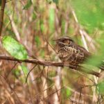 Kayaking Adventure at the Nichupte Lagoon in Cancun - Who Will Love This Experience?