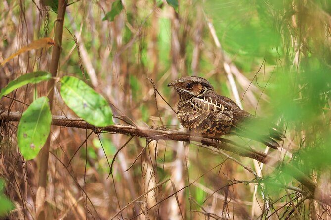 Kayaking Adventure at the Nichupte Lagoon in Cancun - Who Will Love This Experience?