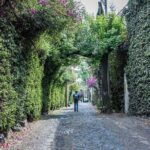 Kayaking adventure through the Xochimilco and Frida Kahlo Canals - The details: what to expect from this kayaking adventure