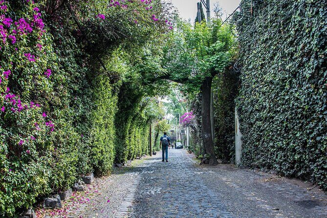 Kayaking adventure through the Xochimilco and Frida Kahlo Canals - The details: what to expect from this kayaking adventure