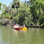 Kayaking Backwaters of New Smyrna Beach Ecotour/Birdwatching - Final Thoughts