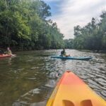 Kayaking on the Roanoke River - Who Is This Tour Best Suited For?