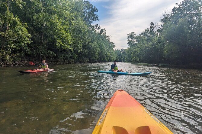 Kayaking on the Roanoke River - Who Is This Tour Best Suited For?
