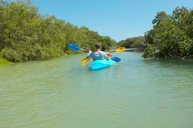Kayaking Tour Through the Mangroves in Isla Holbox - What Do Reviews Say?