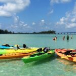 Kayaking with coastal wildlife in Sarasota Bay - Why You Should Consider This Tour