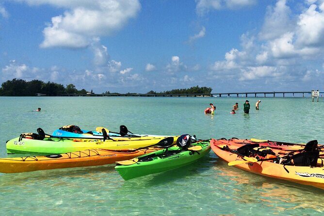Kayaking with coastal wildlife in Sarasota Bay - Why You Should Consider This Tour