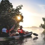 Kayaks at the Mangroves Lagoon Ecosystem from Cancun - Who Should Consider This Tour?
