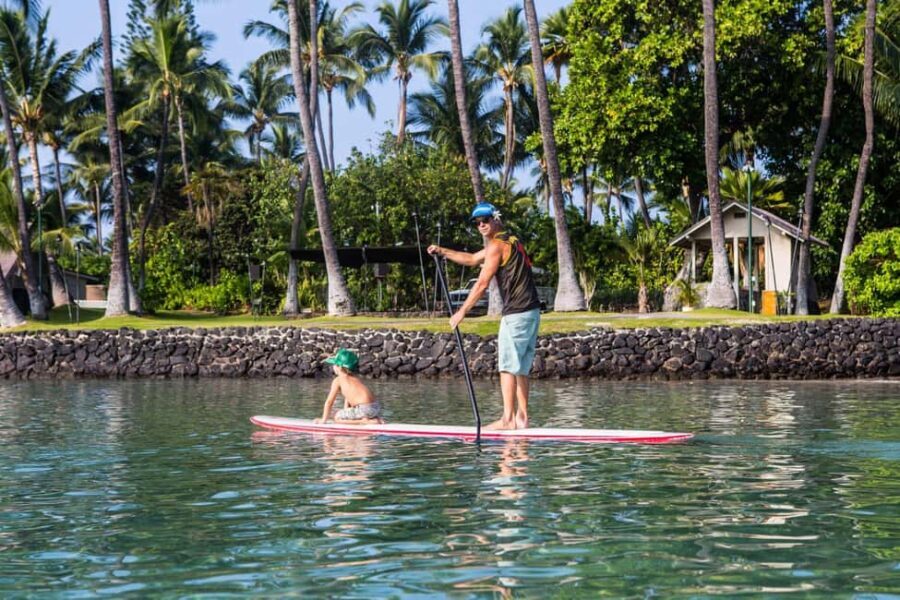 Kealakekua Bay: Stand-Up Paddleboard Lesson or Tour - Who Should Consider This Tour?