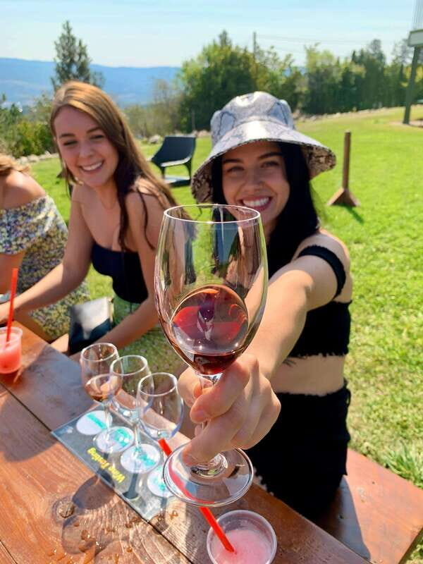 Kelowna: East Kelowna Full Day Guided Wine Tour - The Sum Up