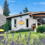 Kelowna Guided E-Bike Wine Tour with Tastings and Okanagan Lunch - Practical Details: What You Should Know