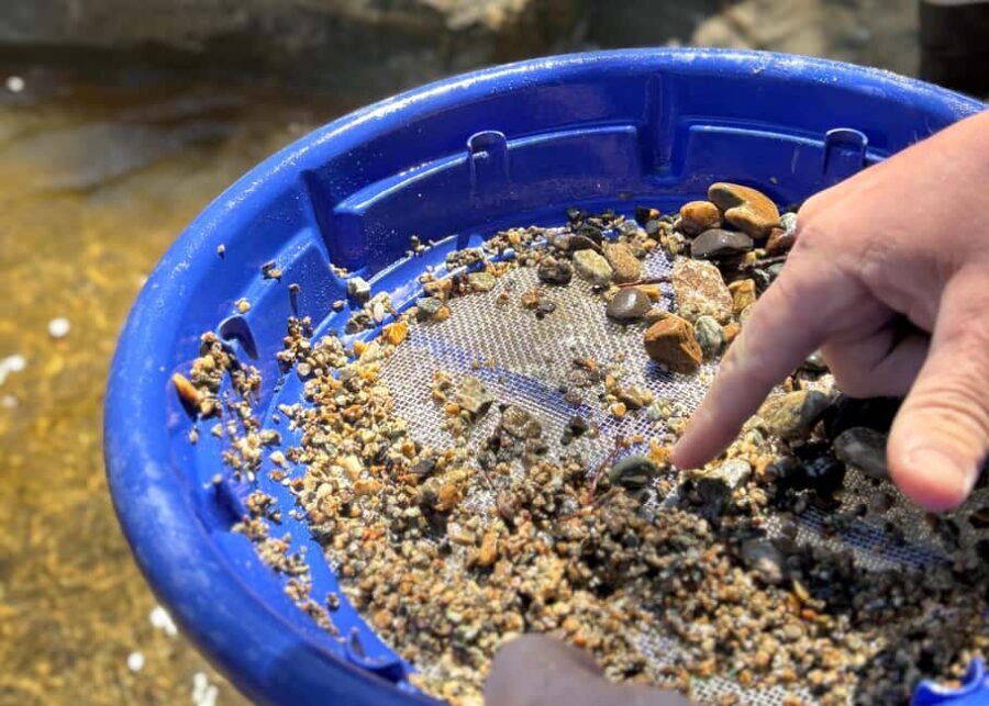 Kelowna: Okanagan Gold Panning Experience at Scenic Canyon - Key Points