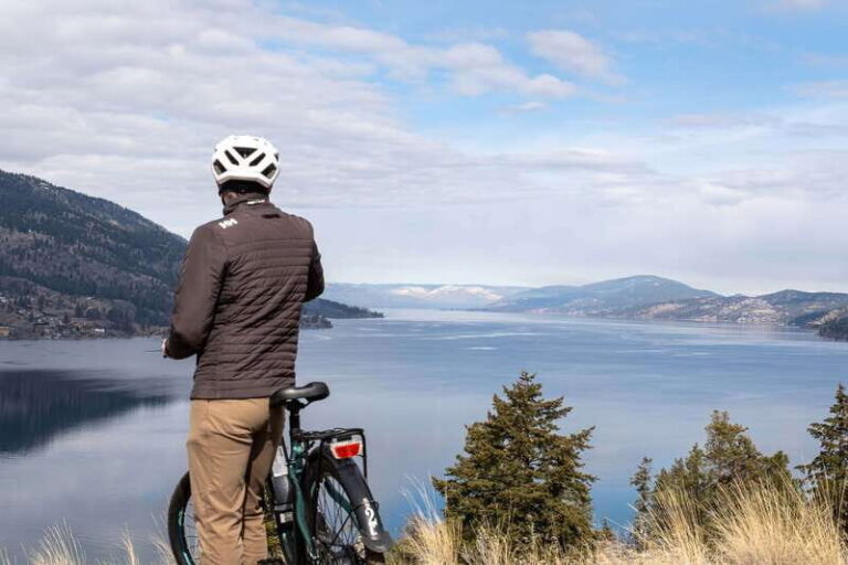 Kelowna: Okanagan Lake Guided E-Bike Tour with Picnic - Why You Might Love This Tour