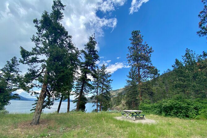 Kelowna: Okanagan Lake Views Guided E-Bike Tour with Picnic - Price and Value