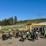 Kelowna: Wine Tasting by E-bike, Smartphone Guide & Lunch - What the Itinerary Looks Like