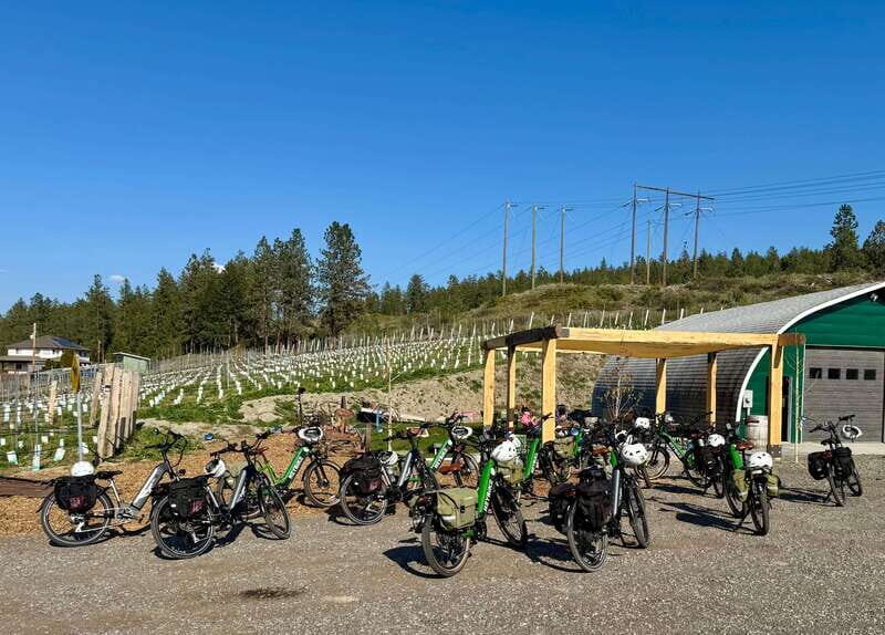 Kelowna: Wine Tasting by E-bike, Smartphone Guide & Lunch - What the Itinerary Looks Like