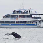 Kenai Fjords National Park Glacier & Wildlife Cruise - The Bottom Line