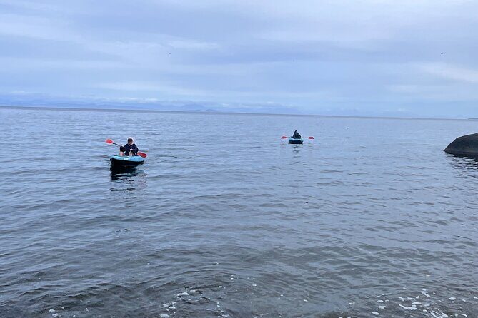 Keogh River Bear Kayaking Tour - What Does This Mean for Travelers?