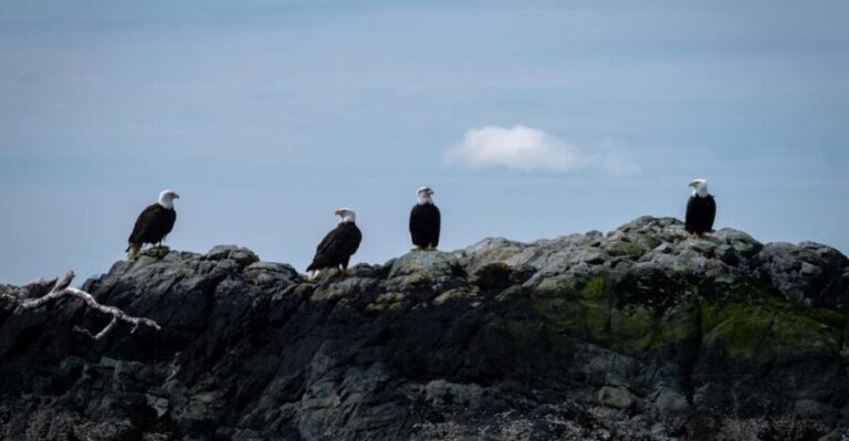 Ketchikan: Lighthouse, Totems & Eagles Excursion - The Food and Beverages: A Nice Bonus
