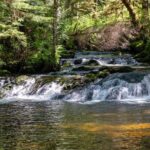 Ketchikan Magical Old-Growth Creek Trek Guided Tour - The Highlights That Make This Trek Stand Out