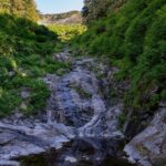 Ketchikan Mountain Lake Trek to Avalanche Chute - Highlights of the Experience